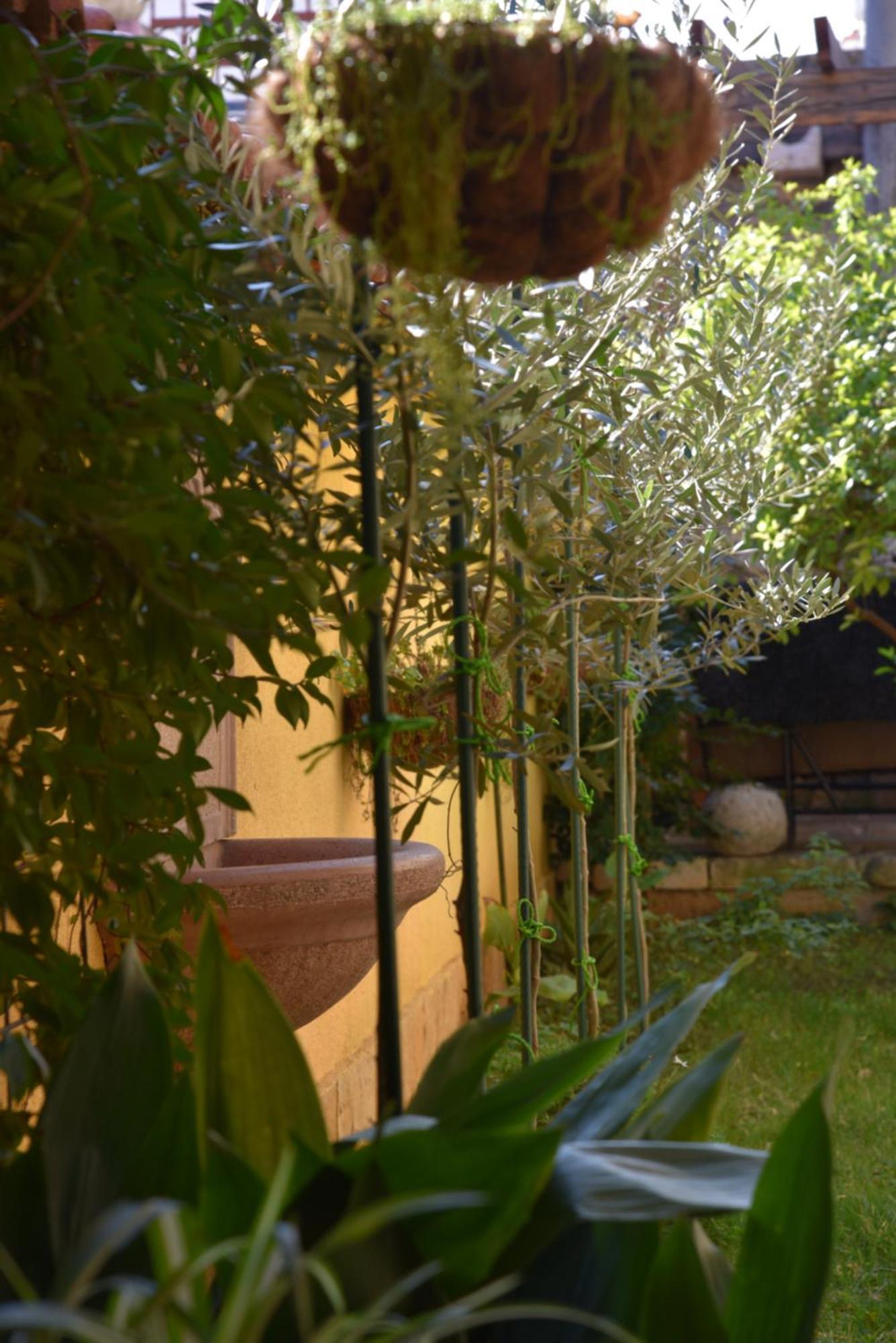 Villa House Justina Zara Esterno foto